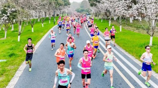 以“天团1号”数字化能力为跑团“上分”加“马”,天马集团当选江苏省田径运动协会副会长单位